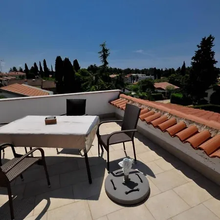 Apartment Schoene In Novigrad Mit Privatem Parkplatz *